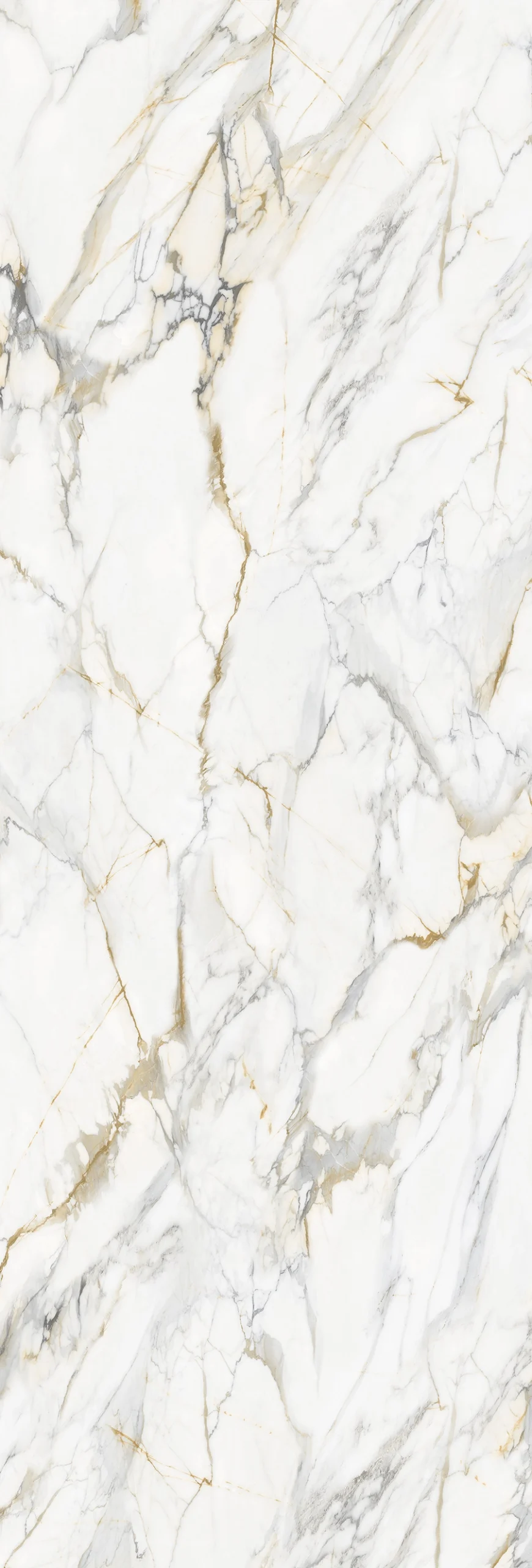 Paonazzo Marble