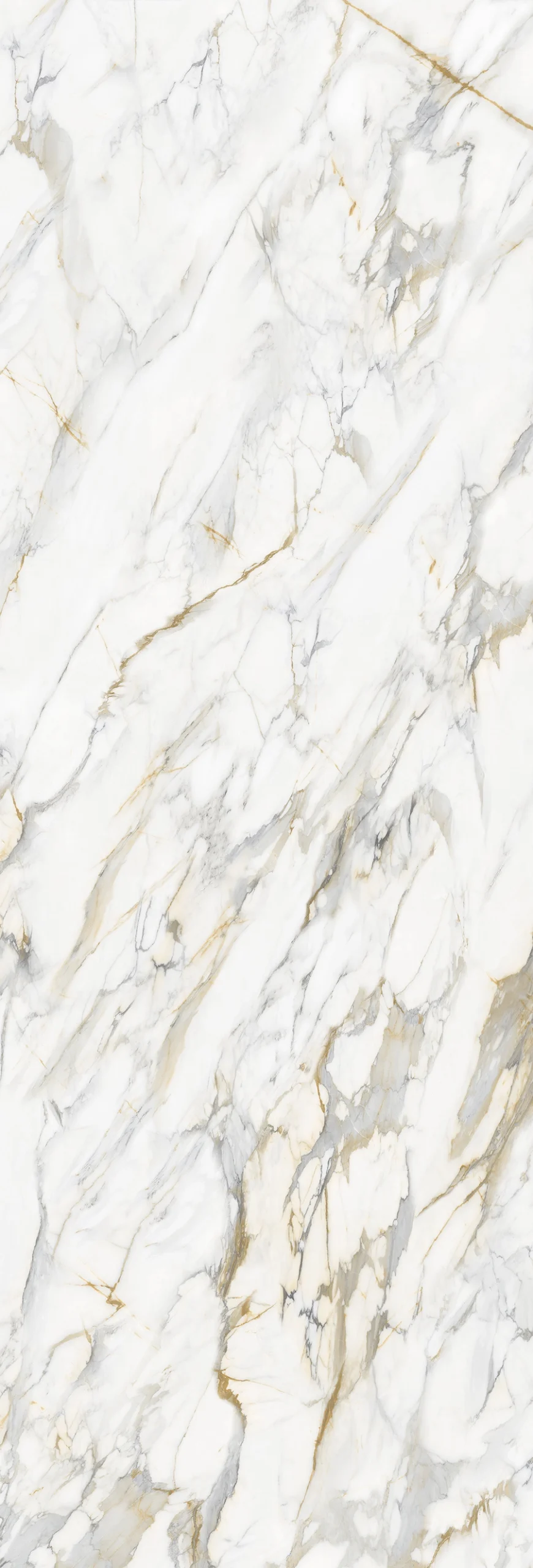 Paonazzo Marble