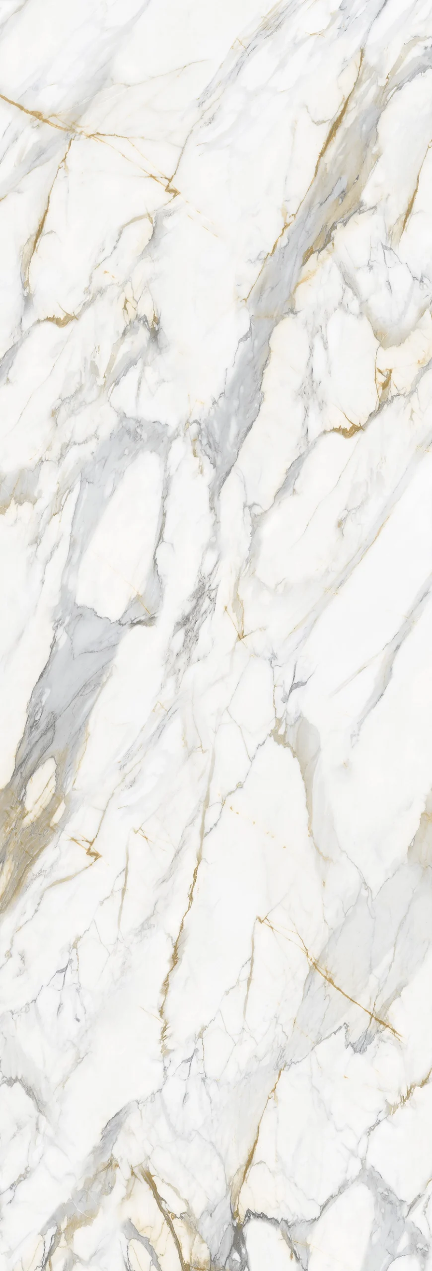 Paonazzo Marble