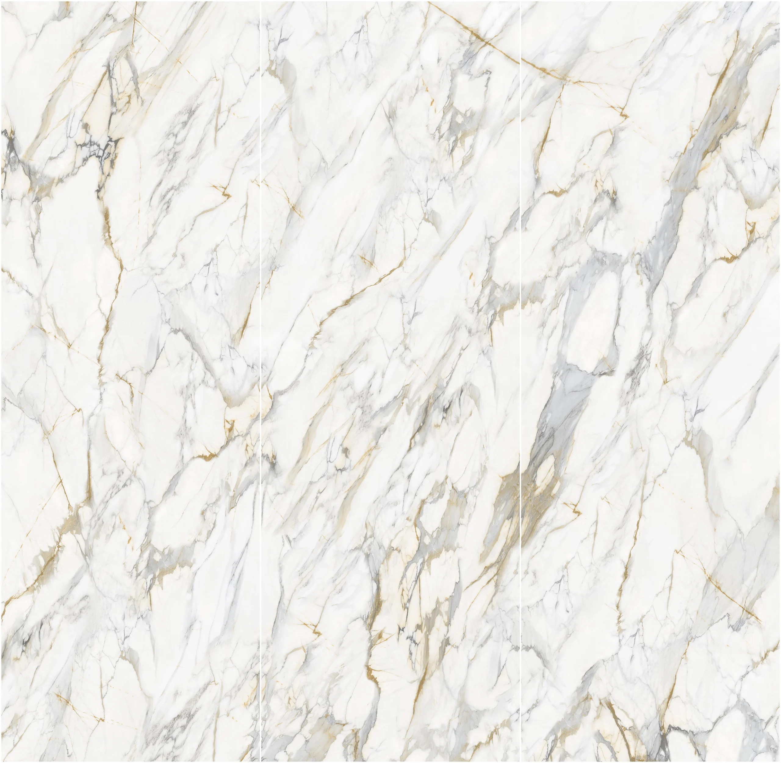 Paonazzo Marble
