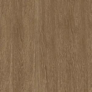 条纹乌木